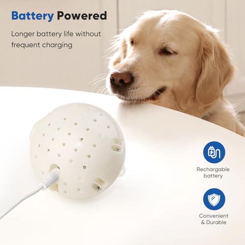 Jouet interactif chien pour stimuler le jeu et l'exercice des animaux de compagnie