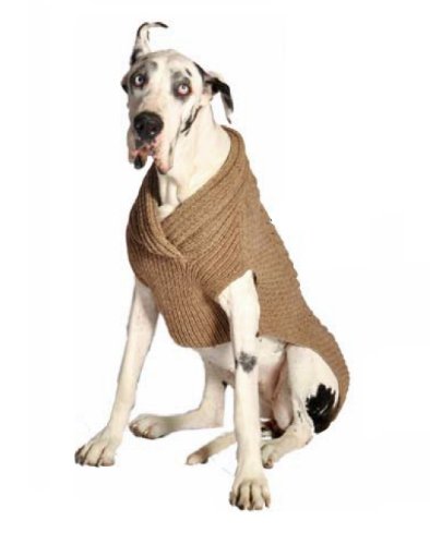 Châle en laine pour chien M Chilly Dog Ragg évite les frissons en hiver