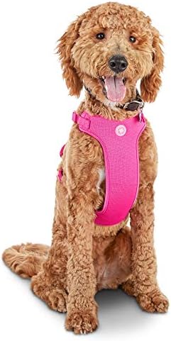 dog bathing suits petco