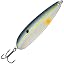 Sexy Shad