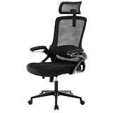 Fizzin Home Office Desk Chair, High-Back Ergonomic Computer Chair with Adjustable Headrest and Lumbar Support, Ergonomic Office Chair for Office Home Bedroom