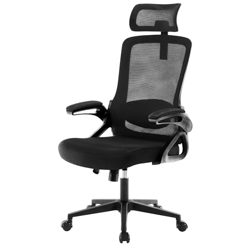 Fizzin Home Office Desk Chair, High-Back Ergonomic Computer Chair with Adjustable Headrest and Lumbar Support, Ergonomic Office Chair for Office Home Bedroom