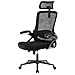 Fizzin Home Office Desk Chair, High-Back Ergonomic Computer Chair with Adjustable Headrest and Lumbar Support, Ergonomic Office Chair for Office Home Bedroom