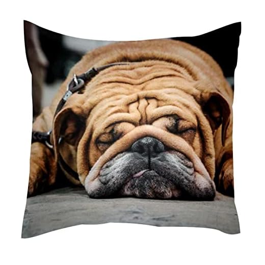 Örngott dragkedja stängning kvadrat soffkudde överdrag standardstorlek <45 x 45 cm, bulldog sover på golvet