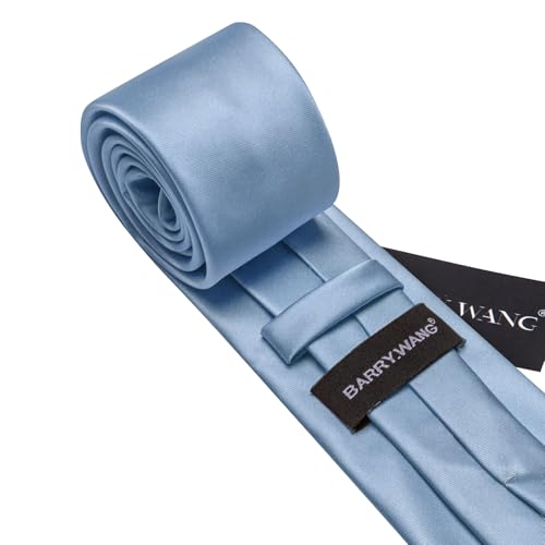 Image of Barry.Wang Silk Ties for Men Fun Necktie and Tie Clip Set for Wedding Party Business Formal Extra Long