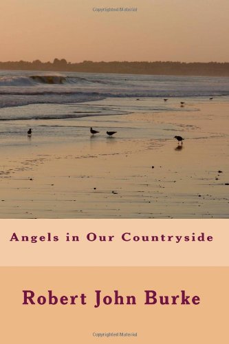 Bild: Angels in Our Countryside f�r 9,62 EUR bei amazon.de