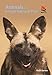 Animals of Kruger National Park (Wildlife Explorer Guides)