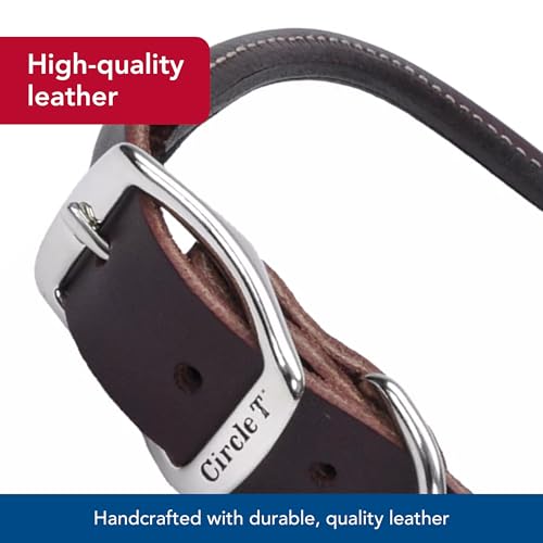 Coastal Pet Latigo Leather Collar