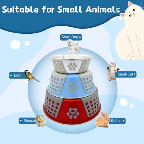 Image of PremiumAV Holy Paws Hermosa Stainless Steel Dog Bowl 300 ML S Size for Dogs, Cats & Kittens - Durable Paw Print Non-Slip Pet Feeding Dish 1 PC