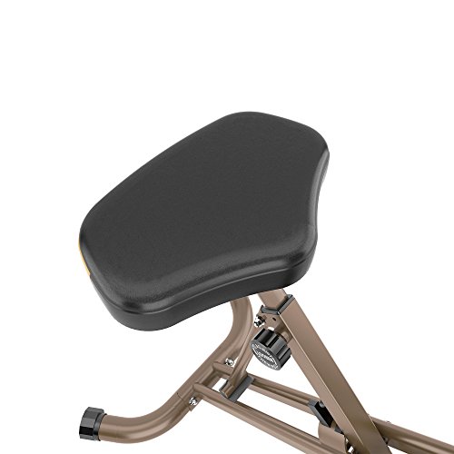 Exerpeutic GOLD 500 XLS 400lb Weight Capacity Foldable Upright Bike with Equipment Mat