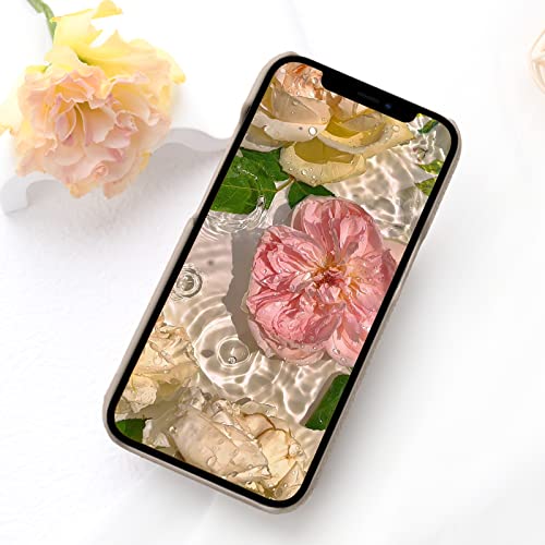 Winntii 適応 iphone14 ケース 背面 カード収納 iphone14 スマホケース ショルダー タイプ ミラー付き リング付き アイフォン14 スマホケース 上品 贈り物 かわいい 立体うさぎちゃん iPhone14 かわいい 兎柄 スマホケース iphone14 ケース 肩掛け 首掛け 斜め掛け カード収納 鏡付き 携帯ケース かわいい iPhone14 携帯ケース ショルダー ストラップ 女性 おしゃれ 首かけ 肩掛け 斜めがけ iPhone14 適用 耐衝撃 保護 財布型 収納 便利 リング付き ミラー 鏡付き 化粧鏡付き カードケース機能付き 軽量 スタンド機能 スマホケース あいふぉん14 ケース スマホカバー アアイフォン14 携帯ケース シンプル 可愛い 肌触り良い 多機能 レザー 落下防止 磁気閉鎖 内蔵マグネット 耐汚れ保護ケース（iPhone 14 (6.1") ライトベージュ）