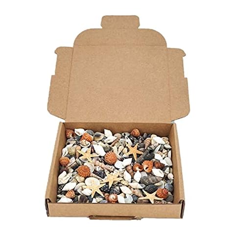 Avalon MIXED SEA SHELLS Collectable Small Seashell Mixes, Decorative Craft Shells, White Shells, Starfish, Weddings/Home Decor, Beach & Costal Themed Arts and Crafts Projects & Parties (Mix #MR) Cover