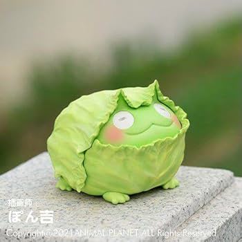 『キャベツツノガエル』野菜カエル　動物惑星シリーズ　フィギュア　動物の置物 Amazon.co.jp: キャベツツノガエル 野菜妖精 フィギュア 動物