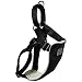 Canine Equipment 1-Inch Large No Pull Dog Harness, Black