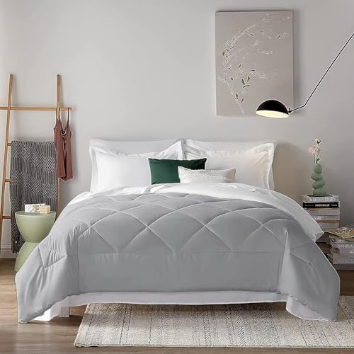 Image of Filbert 600 GSM Comforter for King Size | Super Warm Winter Quilt /Rajai | Thick Microfiber Blanket with Cloud-Soft Fill | Luxury Bedding for Winters - 92x106 Inch | Silver /White