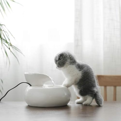 Fuente de agua automática para gatos y perros REAGAR miniatura 4