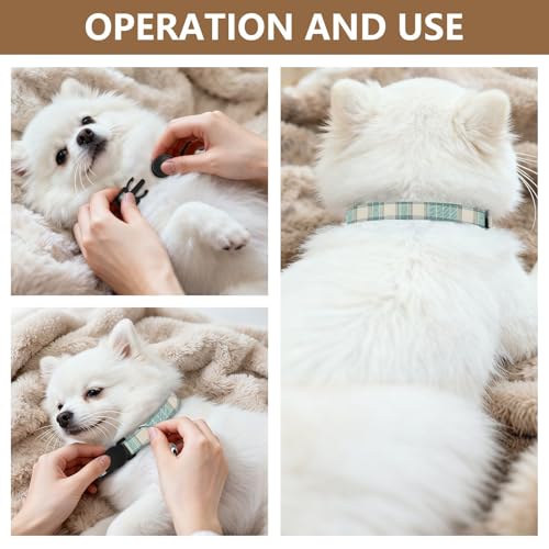 2PCS Collares para Perro Pequeño y Mediano Ajustables miniatura 6