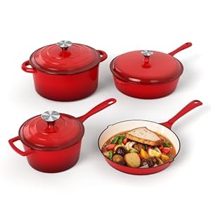 DishDelight Enameled Cast Iron Cook...