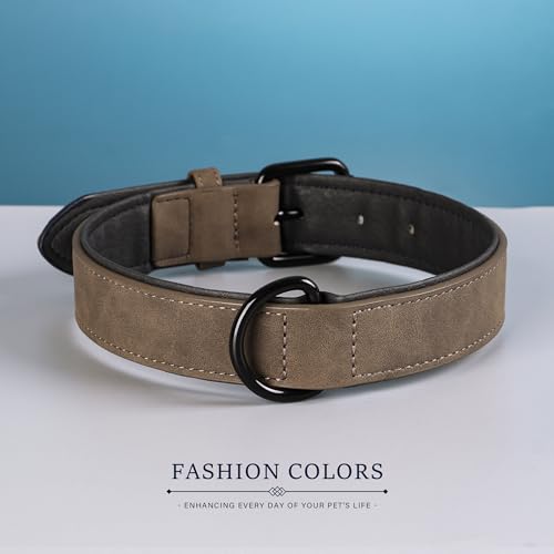 Didog Hundehalsband aus weichem, gepolstertem Leder, atmungsaktives, strapazierfähiges Hundehalsband aus Leder mit Verstellbarer rostfreier Metallschnalle für mittelgroße und große Hunde, Braun, M