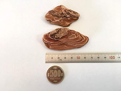 バークチップのおすすめ7選 インテリア向けも Heim ハイム