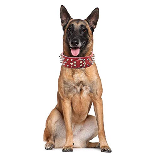 haoyueer Spiked Leather Dog Collar Bullet Rivets Studded 2 Inch Width Stylish Leather Dog Collars for Medium & Large Dogs Pitbull … (M - Image 2