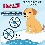 petgnam B0DWFYCRQS lato 2