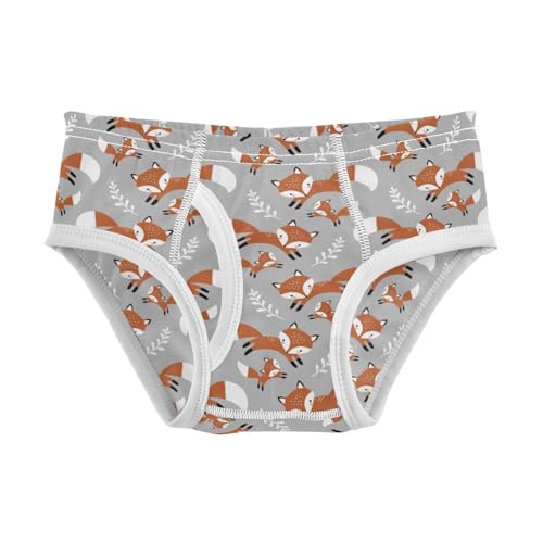 Boys' Exclusive Briefs Toddler Underwear 95% Combed Cotton Boxerbriefs 2T Fox Pattern 16
