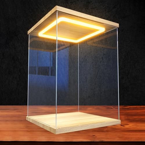 Xyrona Acryl Vitrine Hohe Acrylboxen mit LED-Licht, 15, 20, 25, 30, 35, 40, 50 und 60 cm Große Vitrine für Sammlerstücke, Würfelförmige Kunststoffbehälter mit Tür(L10xW10xH15cm/4x4x6)