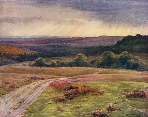 Toile Tyndale la promenade New Forest déco murale haute qualité
