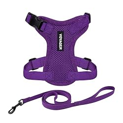 Voyager Step-in Lock - Arnés Ajustable para Gato c...: Se adapta a gatos pequeños a medianos: Ya sea que tu gato sea una raza pequeña o mediana, tenemos el tamaño adecuado para combinar. Nota: El tamaño NO corresponde a la raza, tamaño o peso de tu mascota. Mide a tu mascota y consulta nuestra tabla de t...
