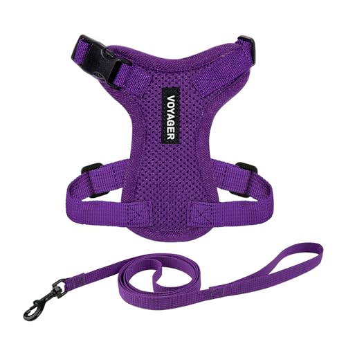 Image of Voyager Escape-Proof Step-in Lock Cat Harness & 5ft Neoprene-Handle Leash Set All-Weather Mesh with Reflective Stitching for Small to Large Cats by Best Pet Supplies, Purple, XXS