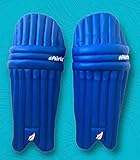 Airic Pro Cricket Batting Pads, Leg Guards (Age 8 to 12yrs)
