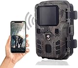 SUNTEKCAM WiFi Mini caméra de chasse 24 MP, 1296P, Bluetooth, WiFi avec détecteur de...