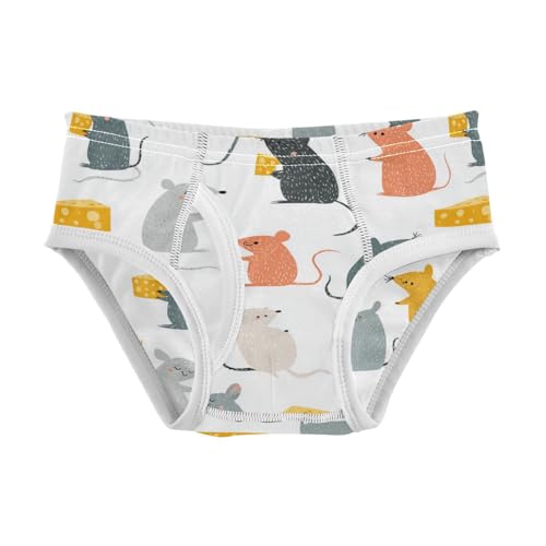 Wusikd Rats Cheese Boys' Underwear Cotton Boys Briefs Soft Toddler Underwear 2T