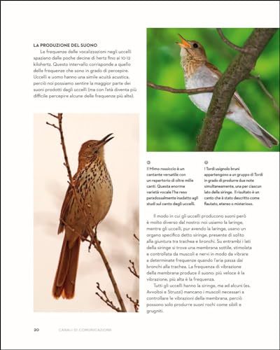 Il Linguaggio Degli Uccelli. Come Gli Uccelli Comunicano Attraverso Suoni, Piumaggi E Comportamenti - 5