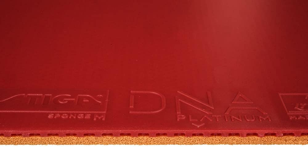 Close-up of STIGA DNA Platinum M Rubber Edge