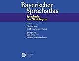  Sprachatlas von Niederbayern (SNiB) / Einführung mit Syntaxauswertung