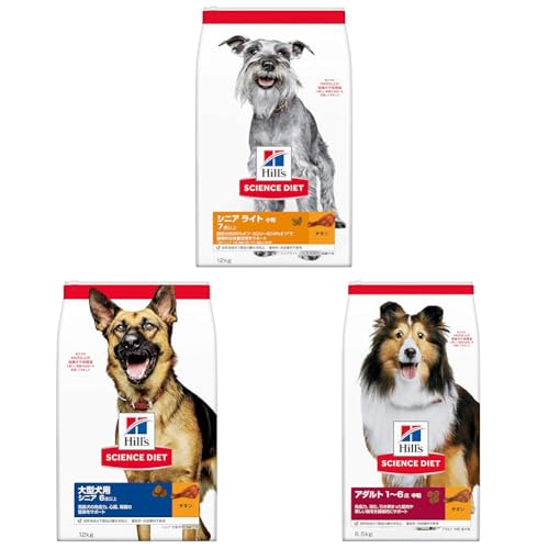 yZbgzqY TCGX_CGbg hbOt[h VjA Cg  7Έȏ `L 12s p hC 얞 + qY TCGX_CGbg hbOt[h ^p VjA 6Έȏ `L 12s p hC e  +