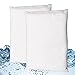 DEEPLITE Oil Absorber, Oil Absorbing Sponge for Hot Tubs Swimming Pools SPAs (Pack of 2)