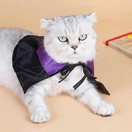 Disfraz Halloween para Perros Capa y Sombrero miniatura 3