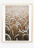 Din A4 Kunstdruck ohne Rahmen - Reifer Weizen - Feld 