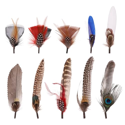 10st Hutfedern, natürliche Federn, 10 Stile Federn für Hüte Pfauenfedern bunte Verschiedene Federn für Fedora Hat Feathers Zubehör für Fedorahüte Basteln Sie Einen Western Cowboy Oktoberfesthut