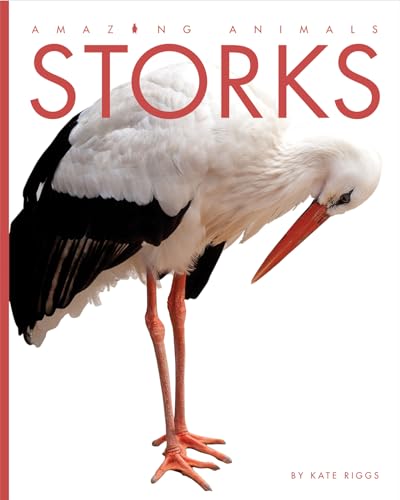 Storks (Amazing Animals)
