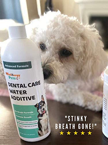 Wellnergy Pets Dental Care Water Additive For Dogs & Cats 2 Pack – No Brush Formula, Oral Hygiene & Fresh Breath, Reduce Plaque And Tartar. 16 Fl Oz Each Bottle #TOP3