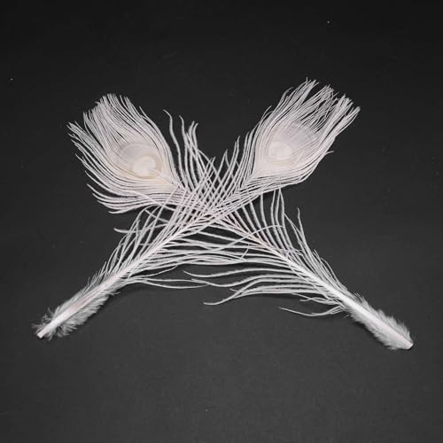 Plumas de pavo real para centros de mesa elegantes en banquetes y eventos pack de 250 8