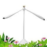 immagine banner Amazon