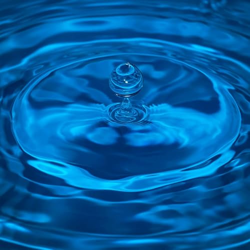 The Experiencers pr3