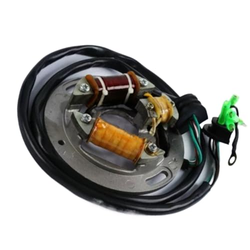 Bobine de stator pour rénovation électrique Waverunner 1990-1995