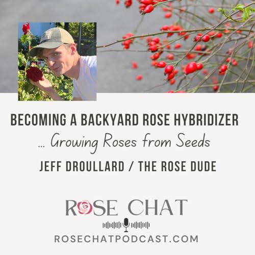 BECOMING A BACKYARD ROSE HYBRIDIZER Podcast Por  arte de portada