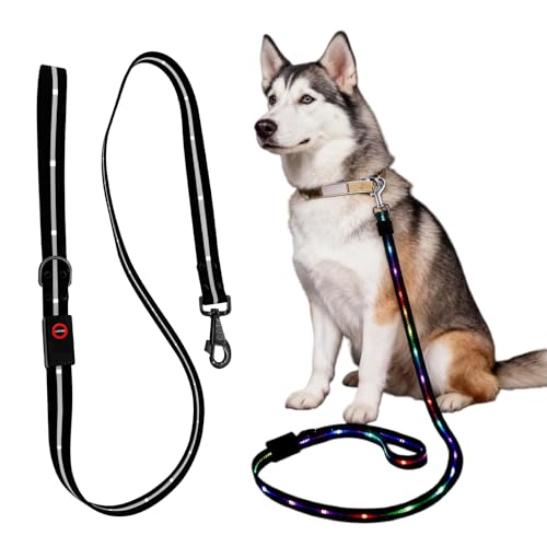LED Hundeleine, 9 Modi Glühen Im Dunkeln Leuchtende Hundeleine 1,2 M, USB Aufladbar Leuchtend Hundeleinen, Wasserdicht Beleuchtete Hundeleinen Für Kleine, Mittel Große Hunde (Schwarz)